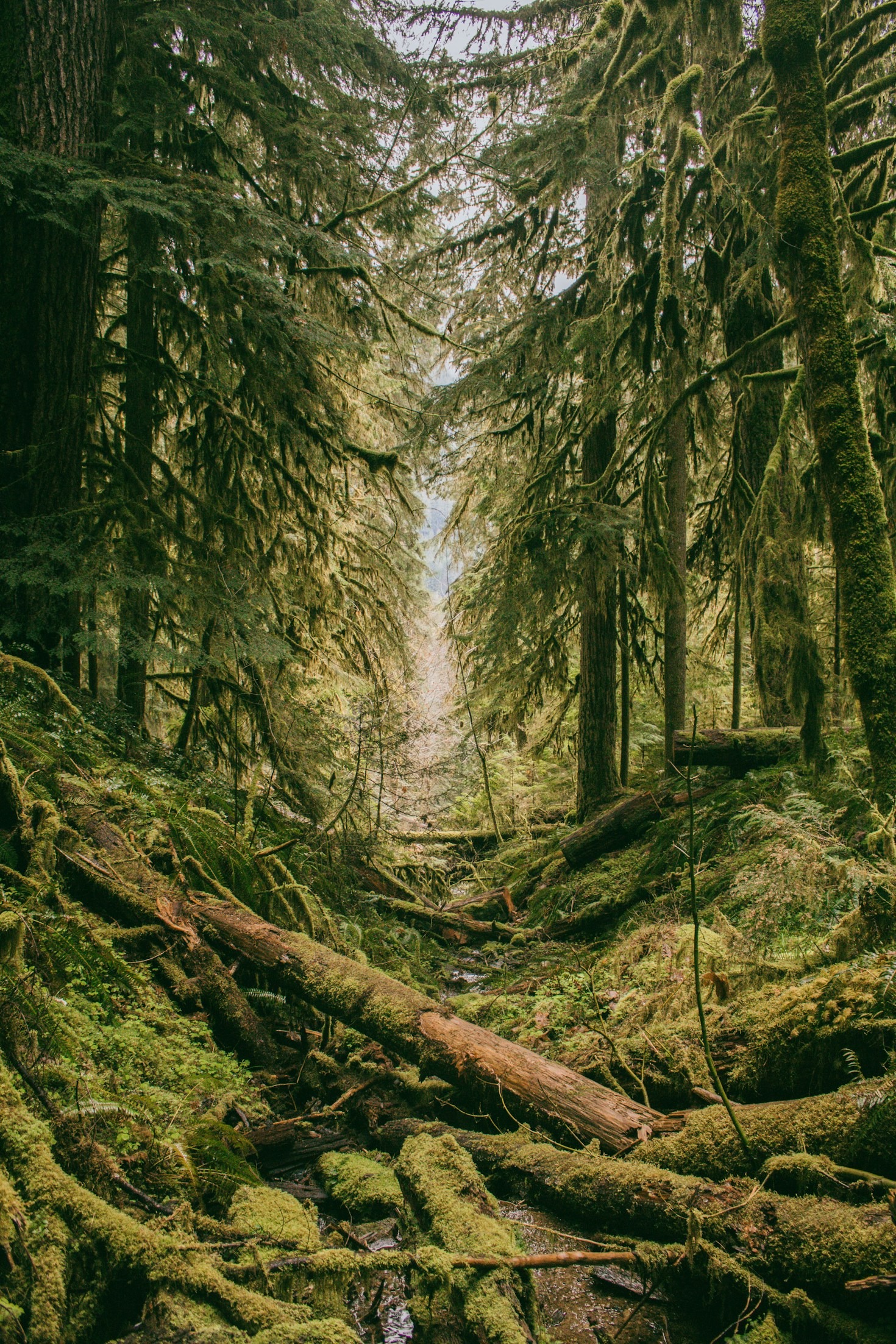 How to Plan a Sustainable Outdoor Adventure