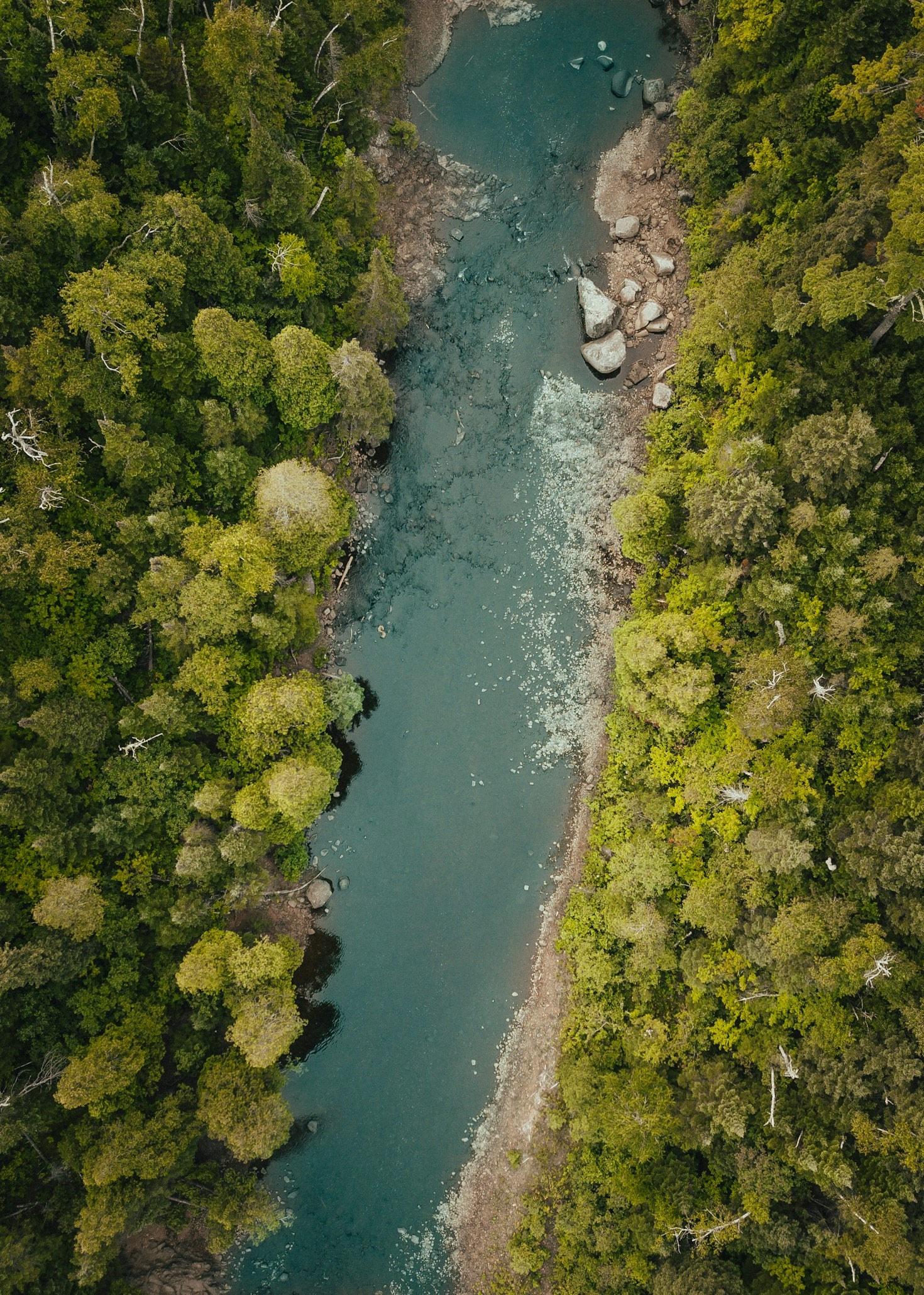 The Health Benefits of Exploring Natural Landscapes
