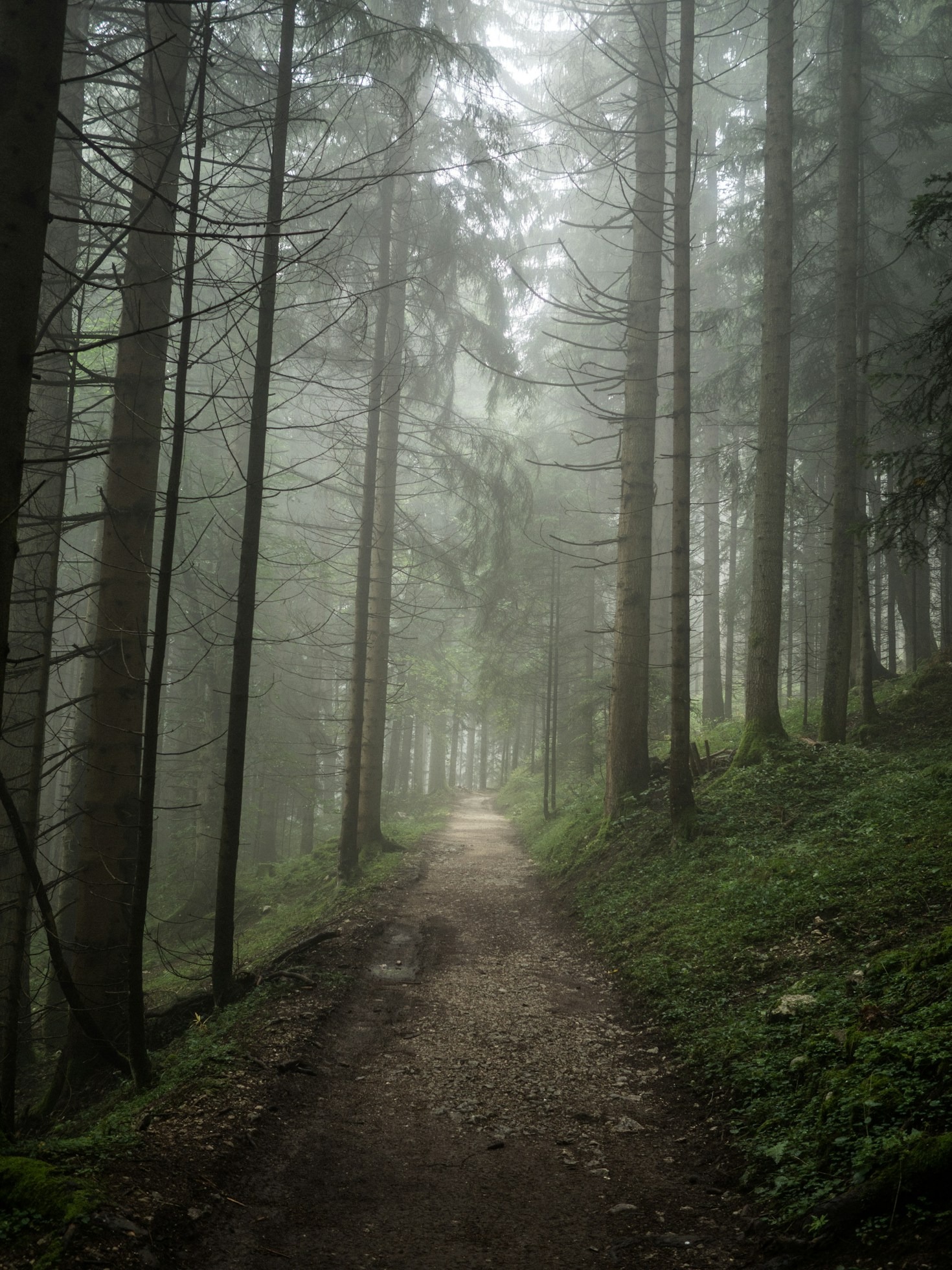 Tips for Responsible Travel in Nature