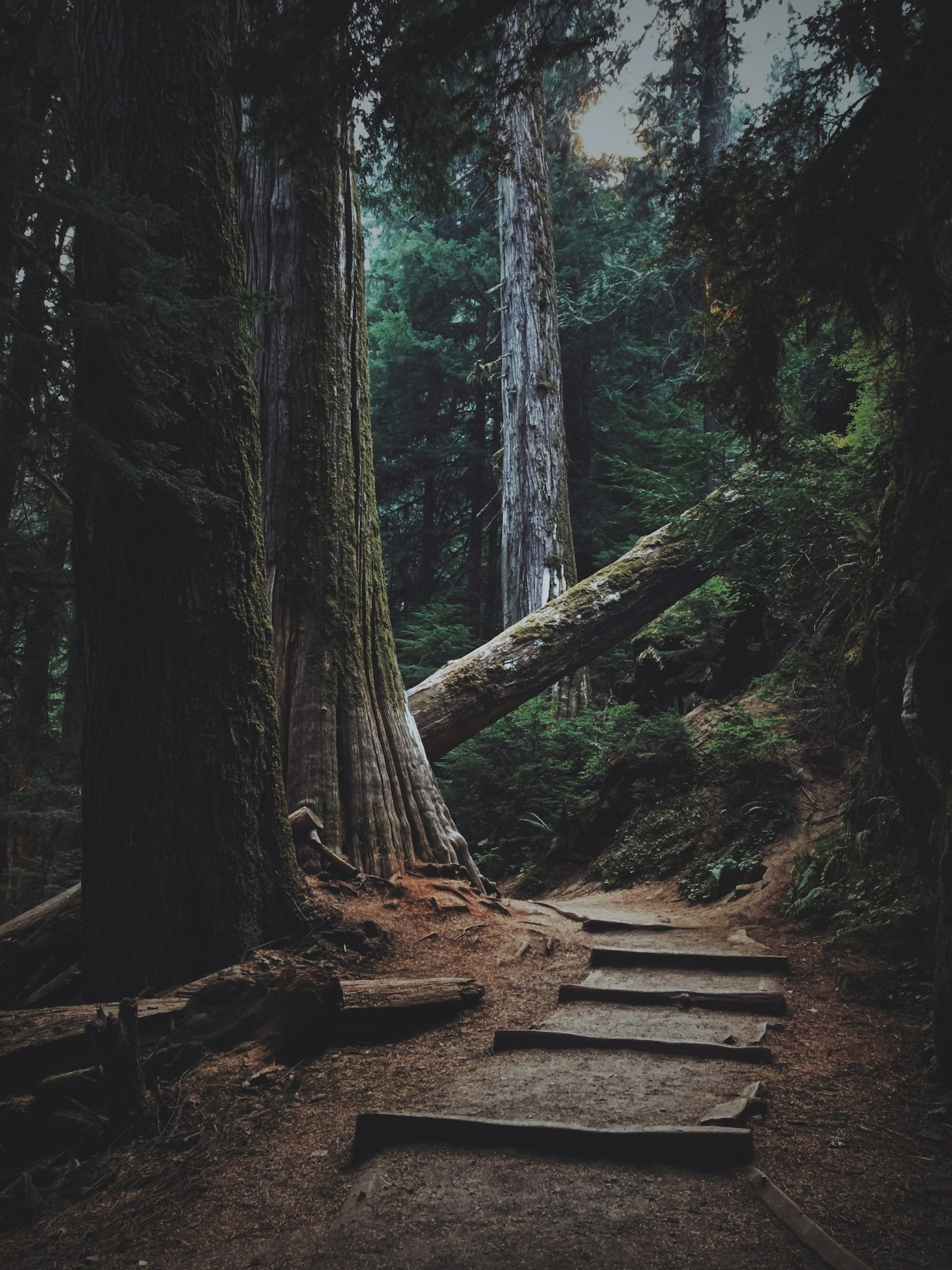 The Ultimate Guide to Nature Photography